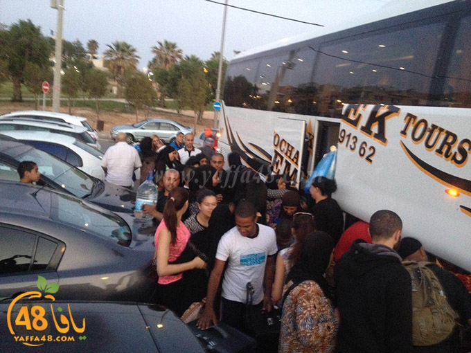 mo3tmreen yaffaja (11).JPG